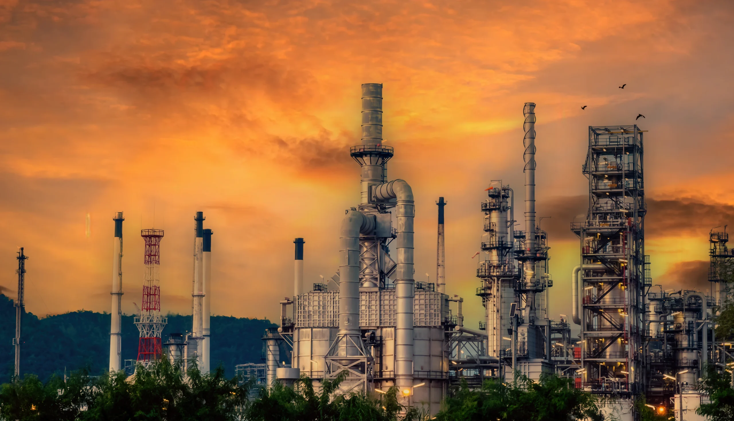 Petrochemical Plants